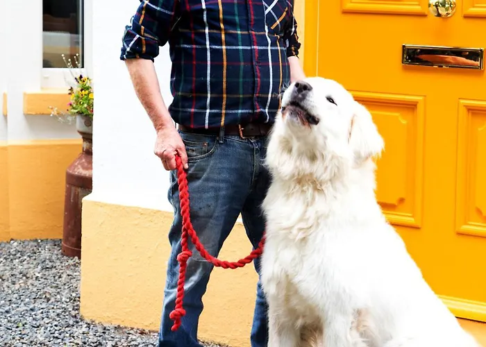 Gleneven Landhuis Inniskeen