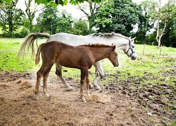 Gleneven Landhuis Inniskeen